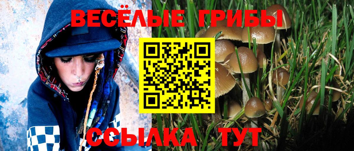 магазин продажи   Псилоцибиновые грибы Psilocybe  Урус-Мартан  Вход с VPN  Галлюциногенные грибы Psilocybine cubensis 