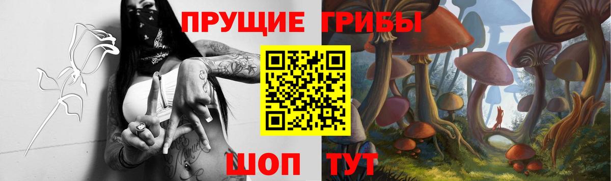 Галлюциногенные грибы Cubensis Урус-Мартан